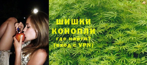 сатива Абинск